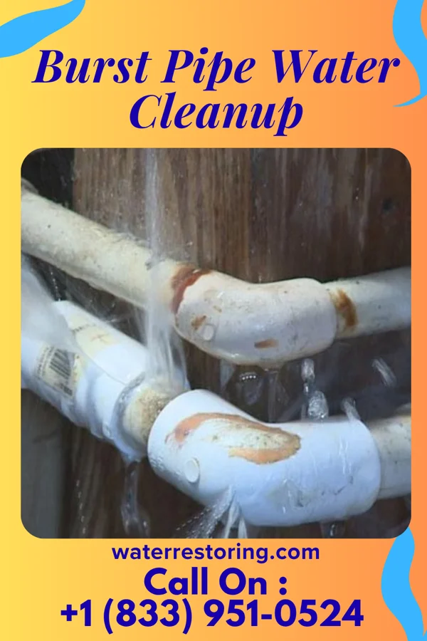 Burst Pipe Water Cleanup in Michiana Shores, IN