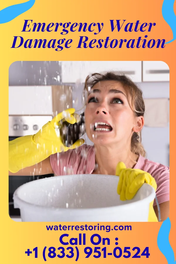 Emergency Water Damage Restoration in Michiana Shores, IN